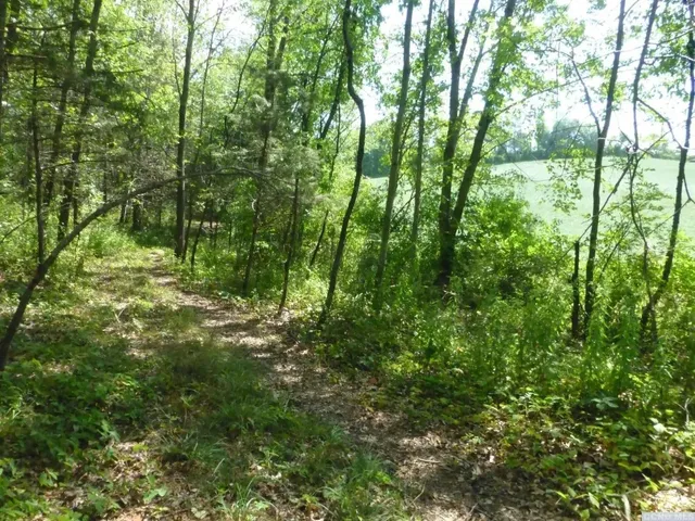 a aerial view of a house with a yard and large trees