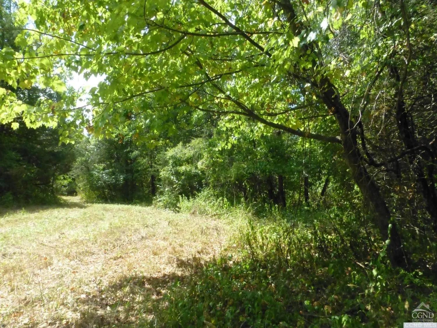 0 Dam Road Pine Plains, NY 12567 - Photo 23 of 25 a view of a yard with a tree
