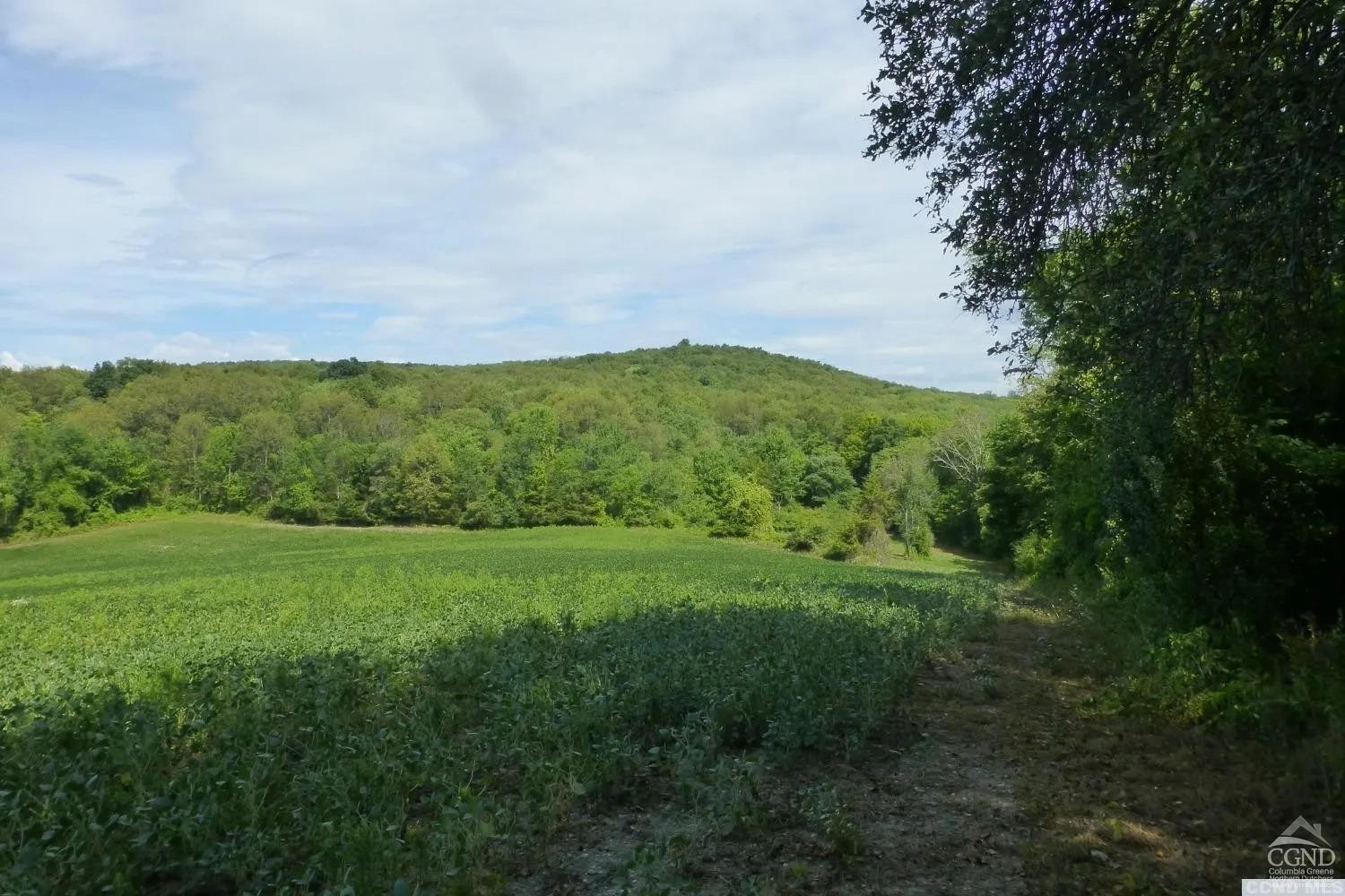 0 Dam Road Pine Plains, NY 12567 - Photo 6 of 25 a view of a lush green outdoor space with a lake view