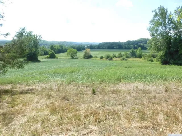 a view of a green yard