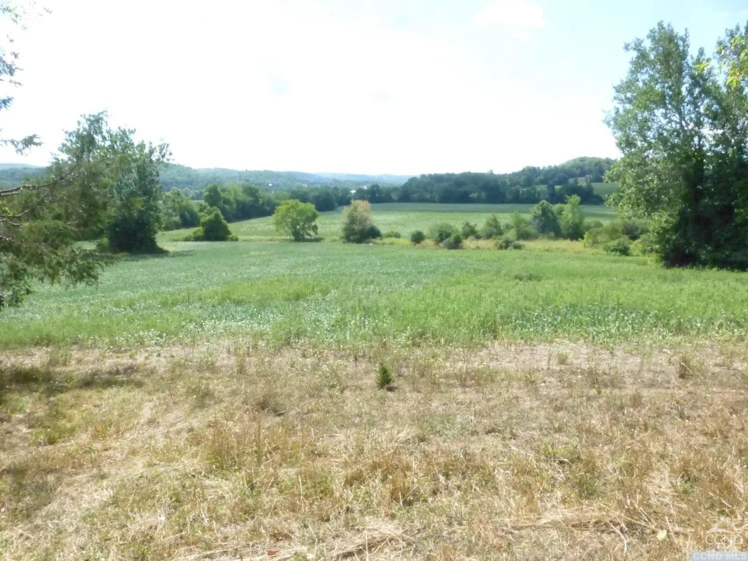 0 Dam Road Pine Plains, NY 12567 - Photo 9 of 25 a view of an outdoor space with a lake view