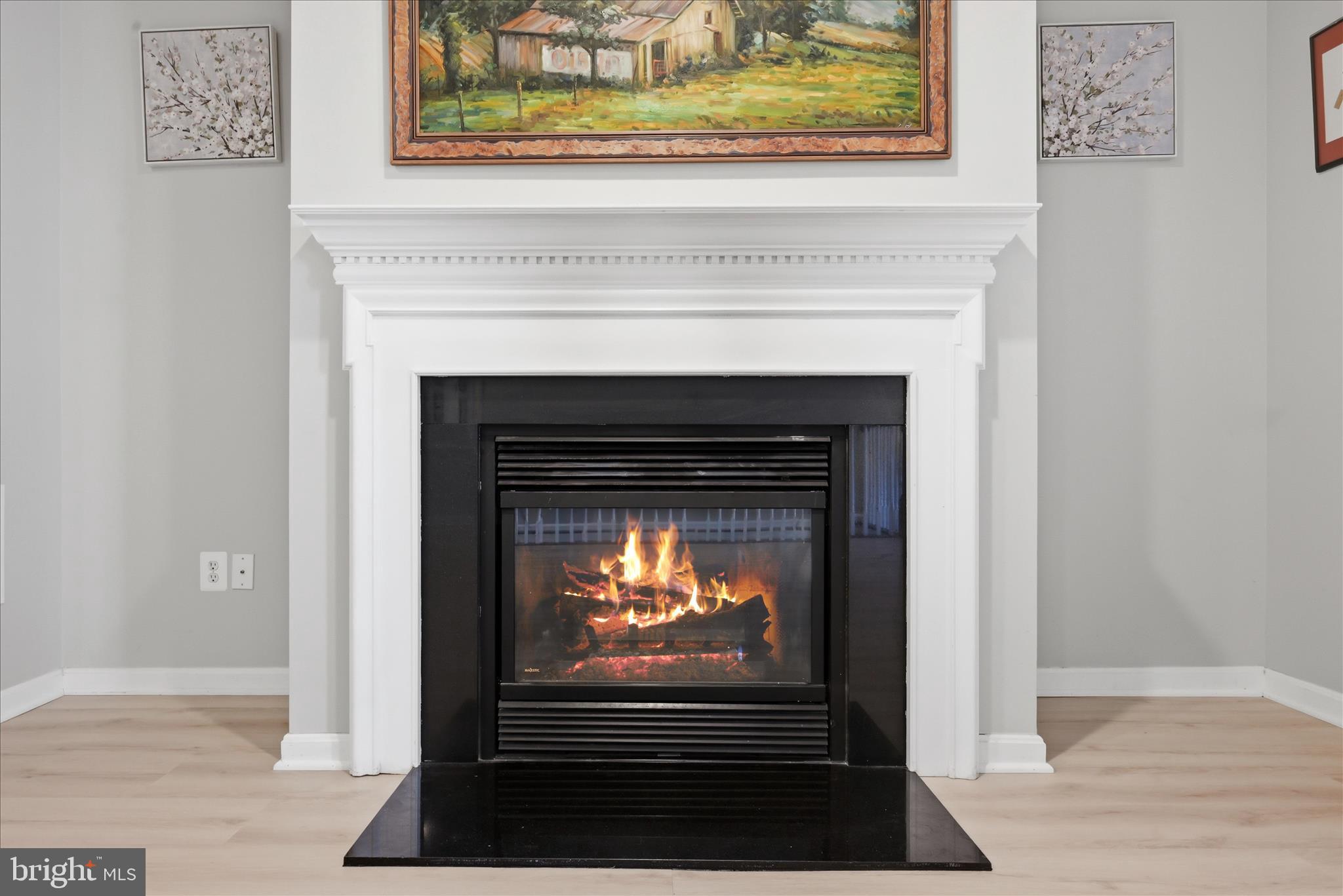 620 Howitzer Terrace Northeast Leesburg, VA 20176 - Photo 31 of 57 Fireplace