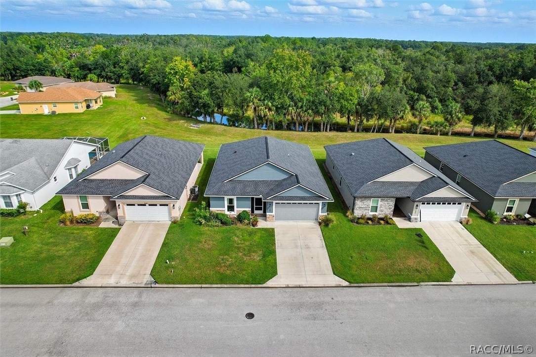 9689 East White Egret Path Inverness, FL 34450 - Photo 38 of 43