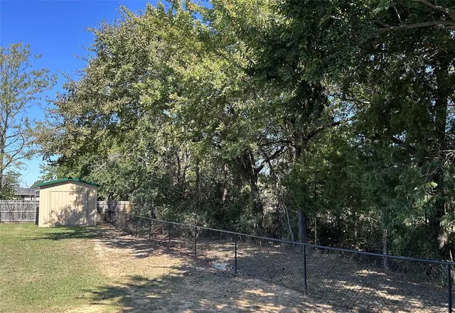 a view of a yard with plants and large trees