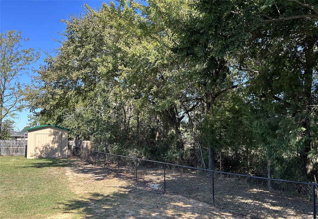 1974 County Road Powderly, TX 75473 - Photo 33 of 33 a view of a yard with plants and large trees