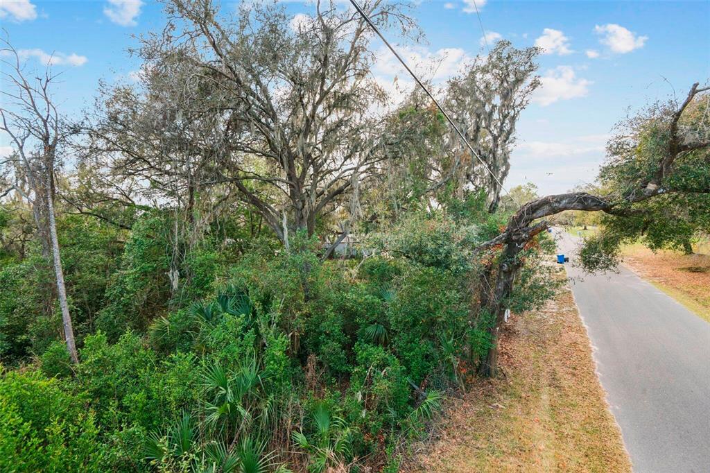 11119 Bessie Dix Road Seffner, FL 33584 - Photo 5 of 12