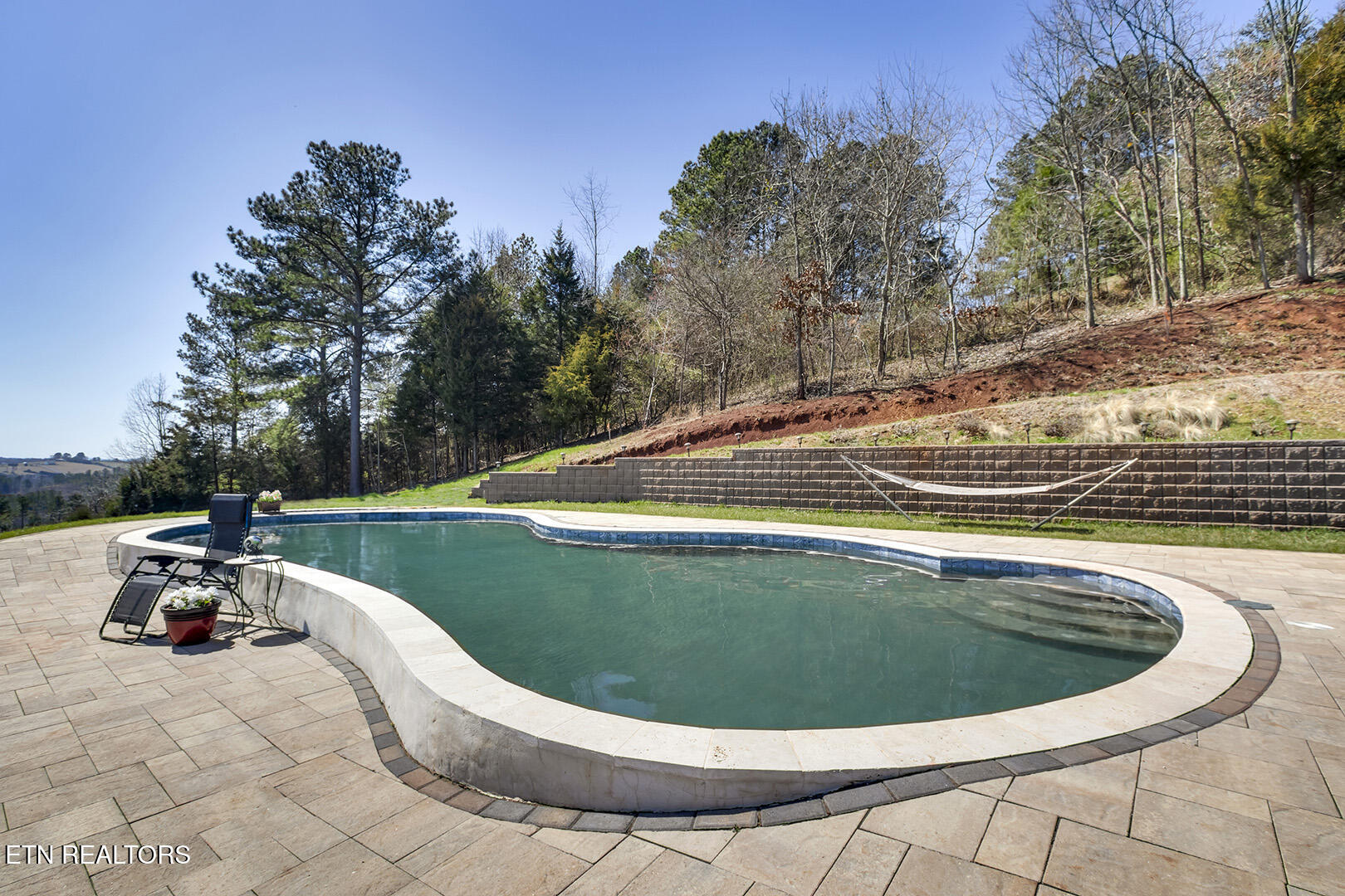 124 Overlook Way Vonore, TN 37885 - Photo 51 of 60 51_OverlookWay_124_Pool02