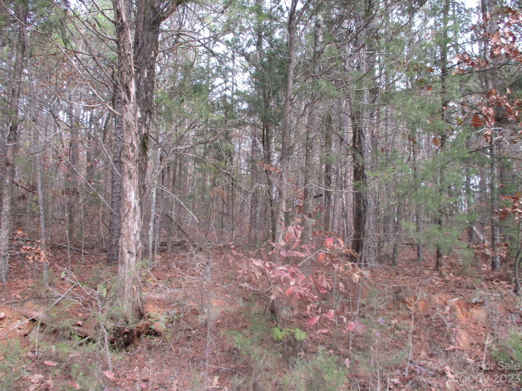 0 Richardson Road Lancaster, SC 29720 - Photo 3 of 10 Gallery Image 3