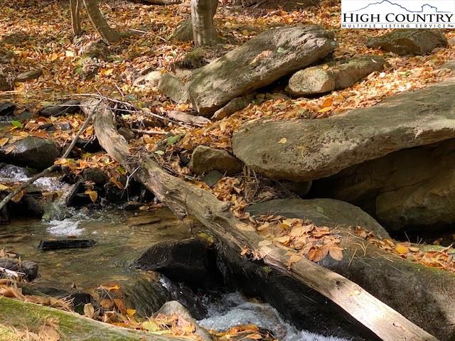 Roy Goodman Road Crumpler, NC 28617 - Photo 18 of 32 Gallery Image 18