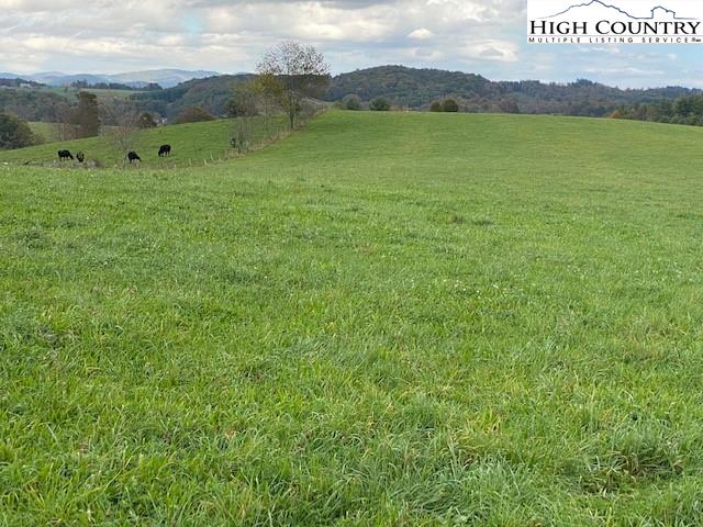 Roy Goodman Road Crumpler, NC 28617 - Photo 8 of 32 Gallery Image 8
