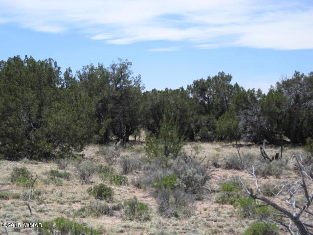 St-johns Az 85936 Ranch St. Johns, AZ 85936 - Photo 1 of 1