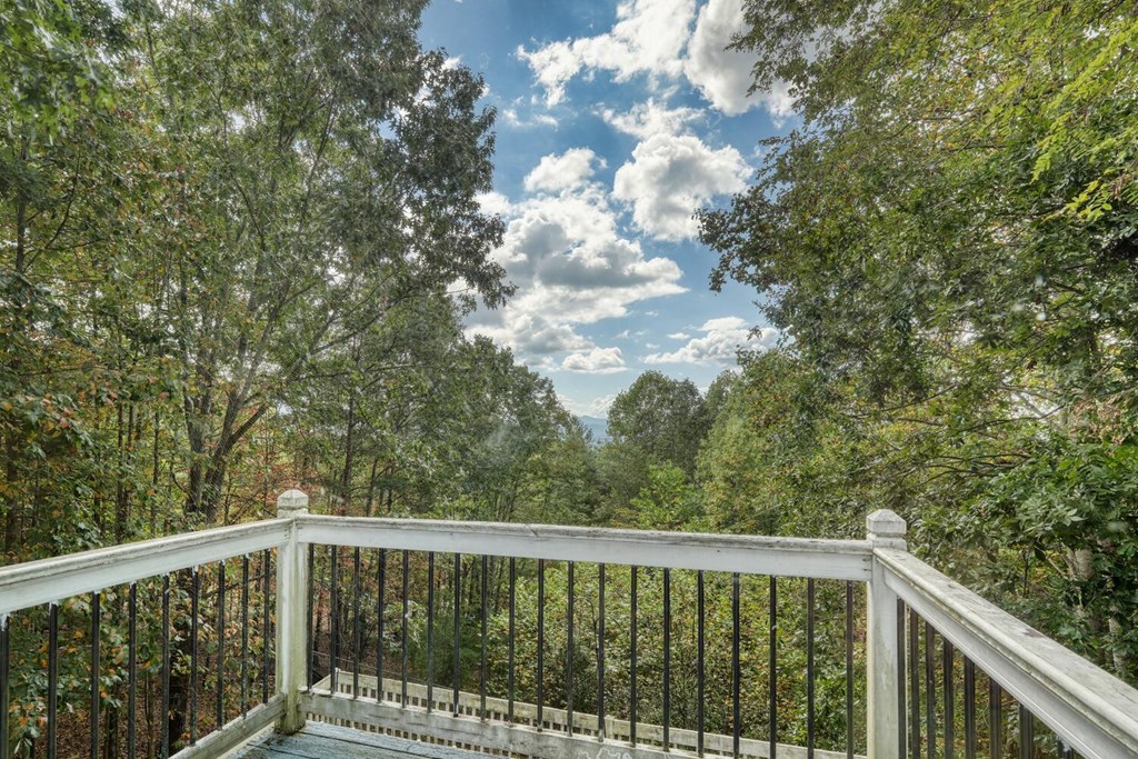 534 Doc Thomas Ridge Road Blairsville, GA 30512 - Photo 19 of 36