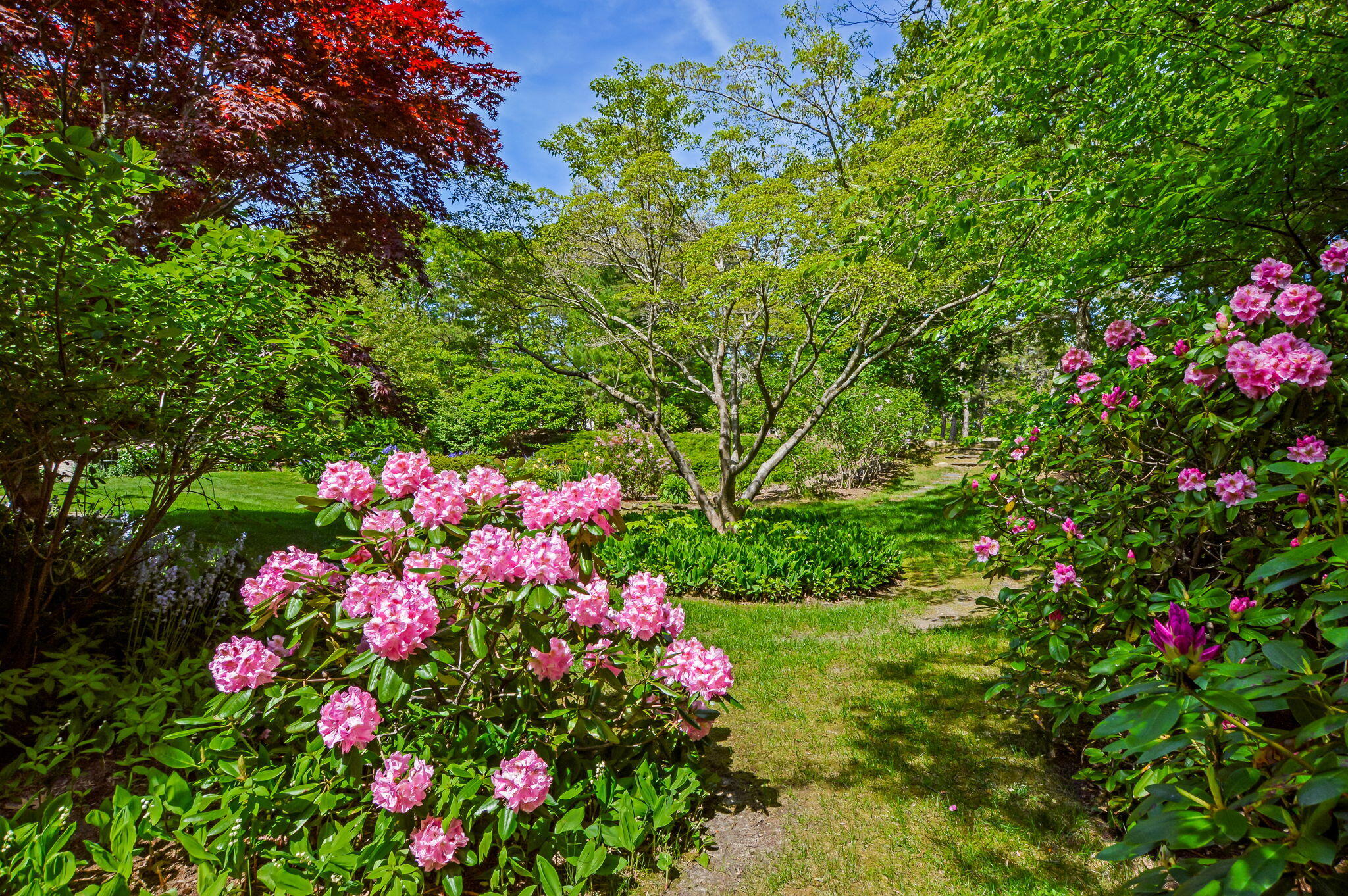 290 Cotuit Bay Drive Cotuit, MA 02635 - Photo 42 of 55 Lush perennial gardens