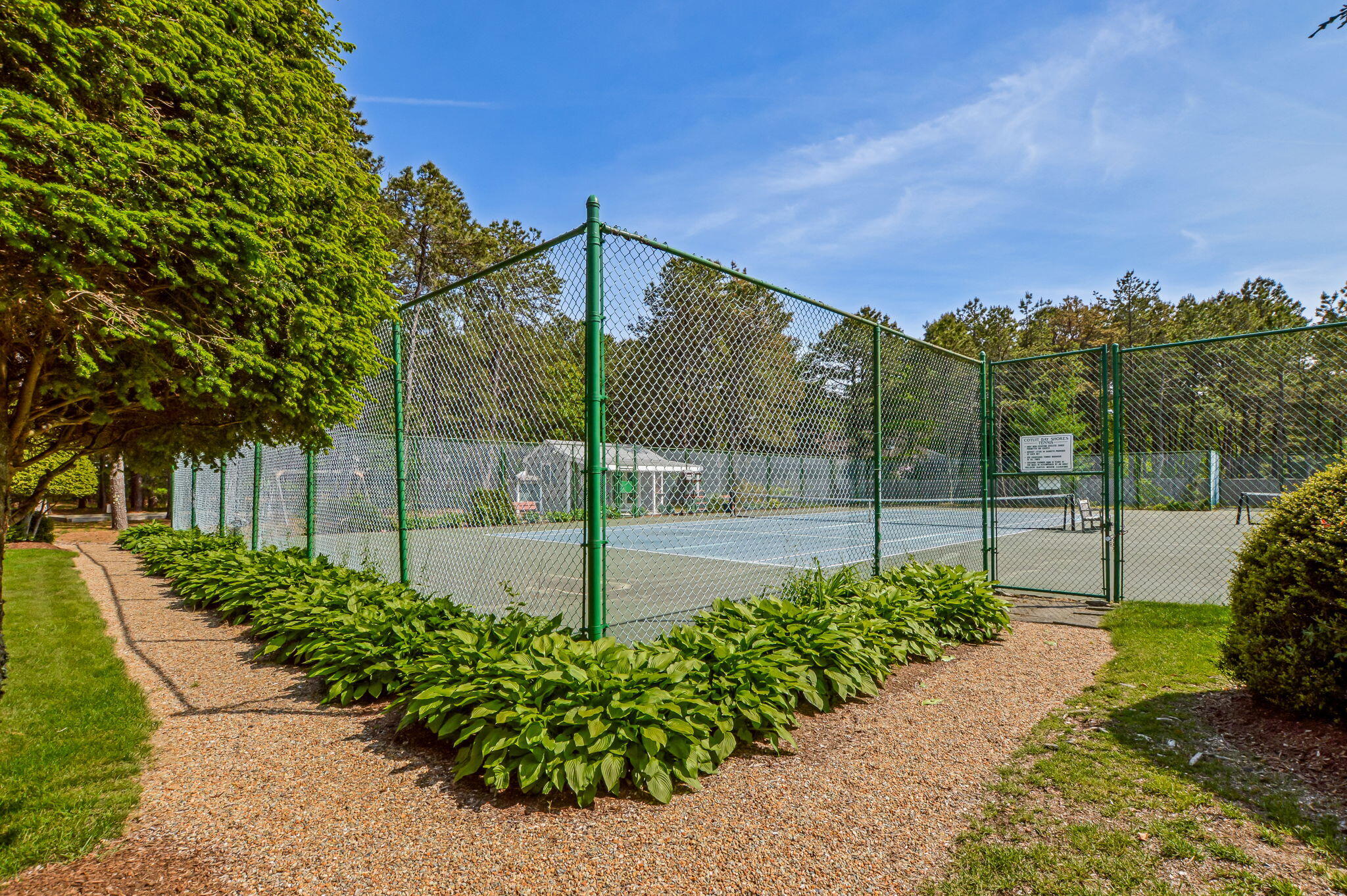 290 Cotuit Bay Drive Cotuit, MA 02635 - Photo 51 of 55 a view of a garden with a building in the background