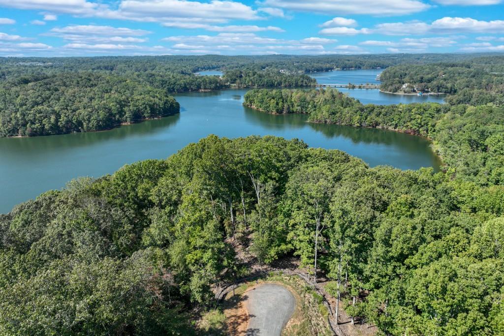 4564 Shirley Road Gainesville, GA 30506 - Photo 20 of 22 an aerial view of residential houses with outdoor space and lake view