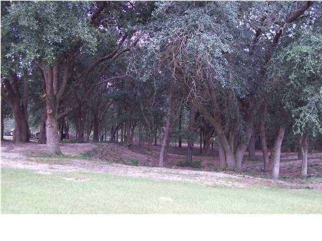 6023 Dairy Road Baker, FL 32531 - Photo 18 of 29 a black and white photo of a backyard