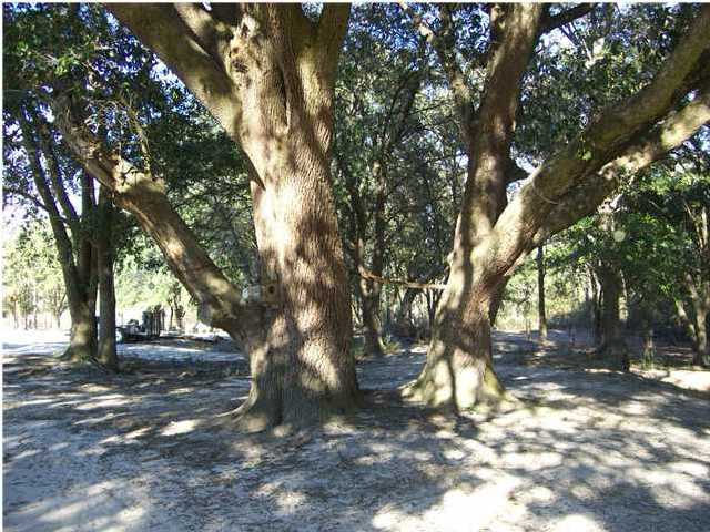 6023 Dairy Road Baker, FL 32531 - Photo 24 of 29 a view of tree