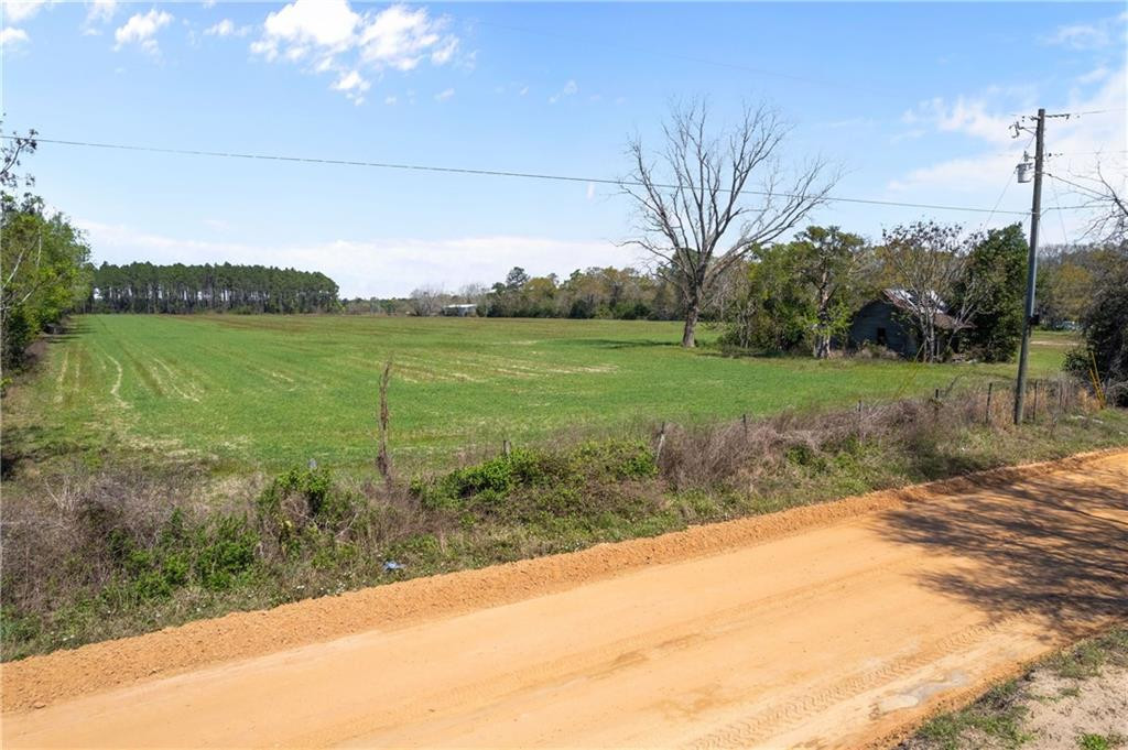 1 Hubert Johns Road Jesup, GA 31545 - Photo 17 of 17