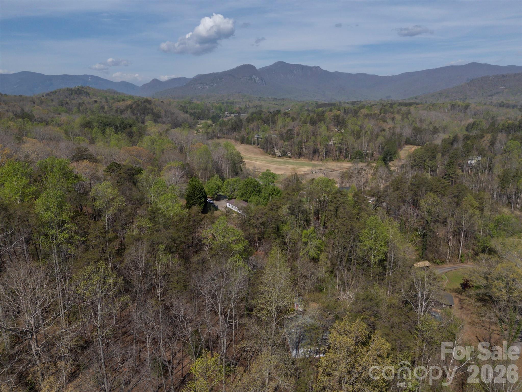 243 Buffalo Creek Road Lake Lure, NC 28746 - Photo 29 of 33 a view of a lush green hillside and a houses