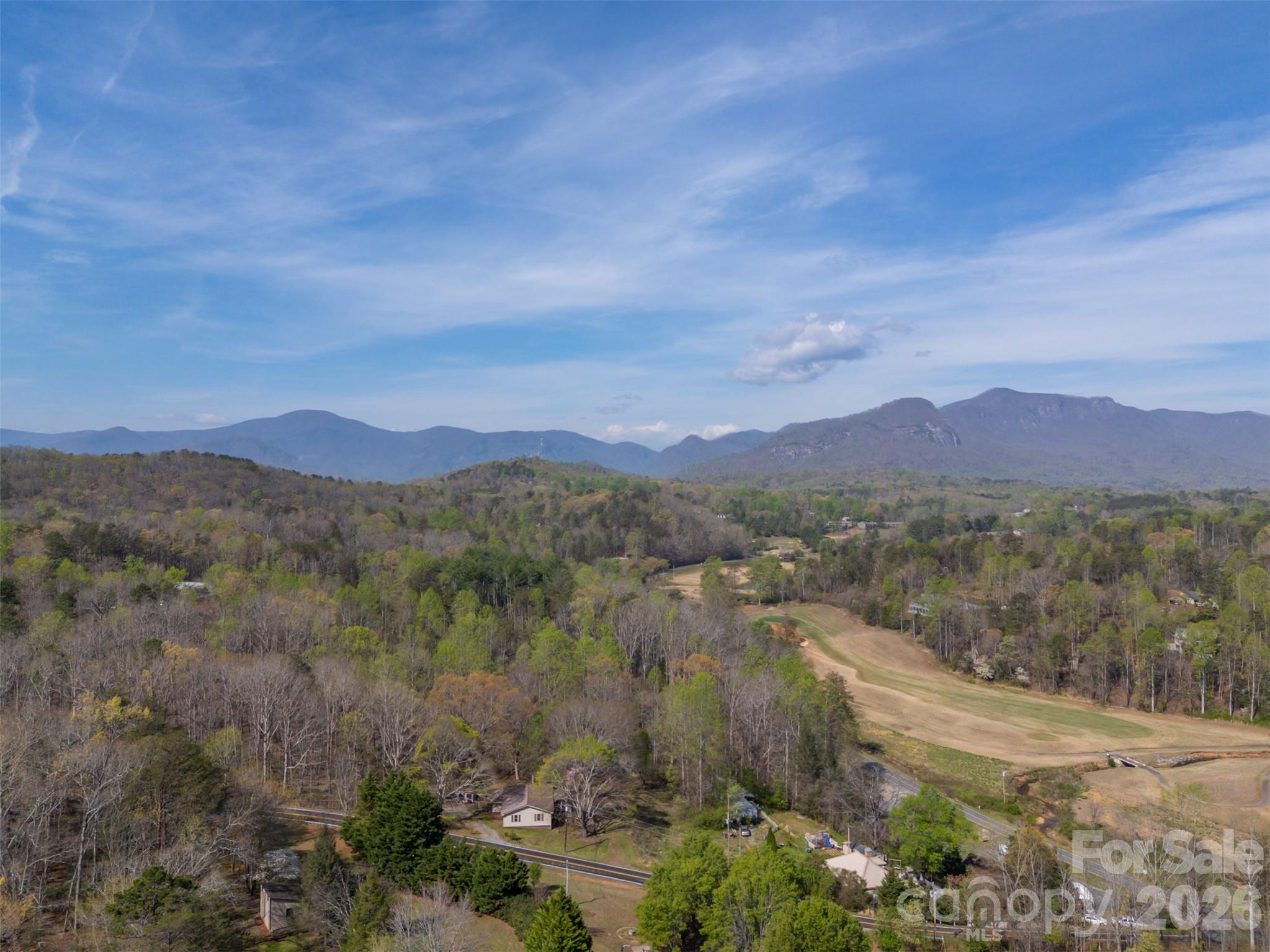 243 Buffalo Creek Road Lake Lure, NC 28746 - Photo 5 of 33 a view of a lush green field with mountains in the background