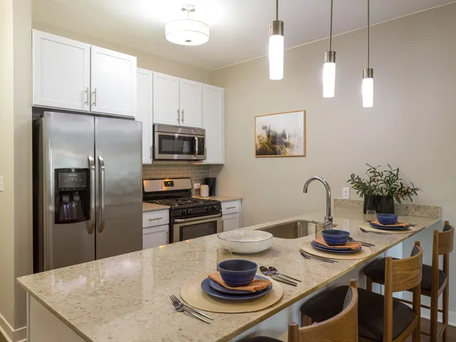 $3,134 | 255 North Addison Avenue, Unit 325, Elmhurst, IL 60126