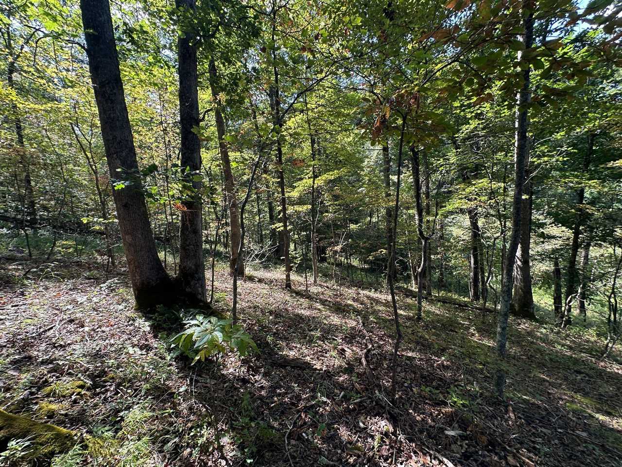 18 A Hall Road Grayson, KY 41143 - Photo 24 of 77 Gallery Image 24