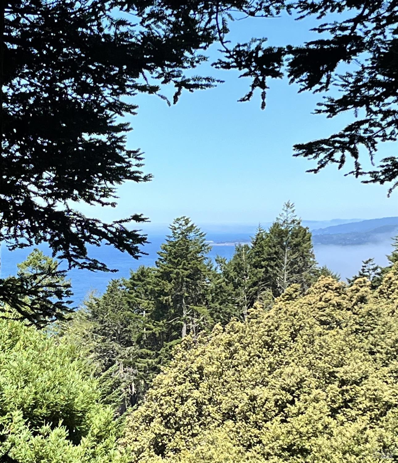 241 Moonraker Road The Sea Ranch, CA 95497 - Photo 51 of 55 View from 3rd story bedroom.