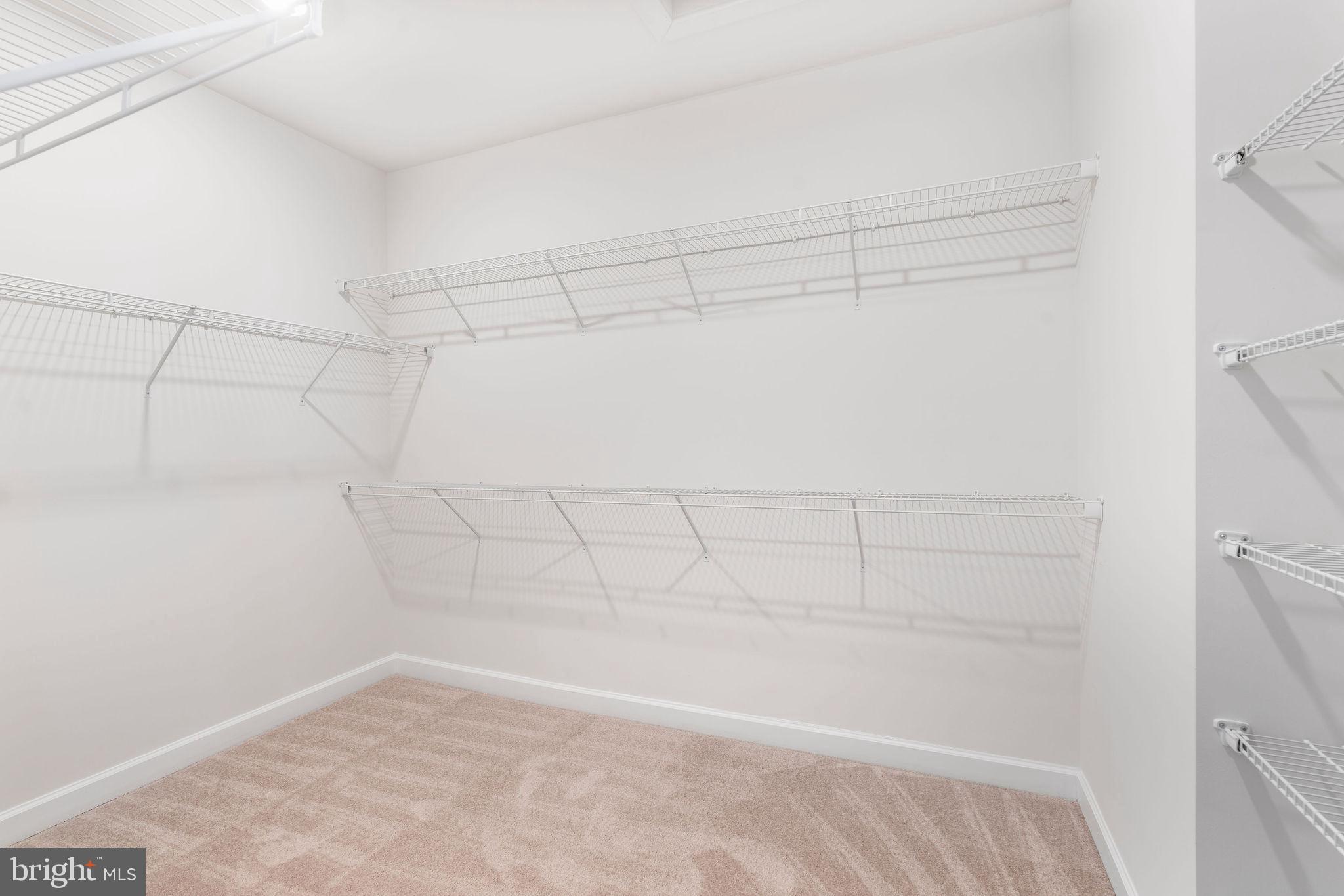 7217 Mainstream Way Columbia, MD 21044 - Photo 34 of 47 Primary Walk-in Closet