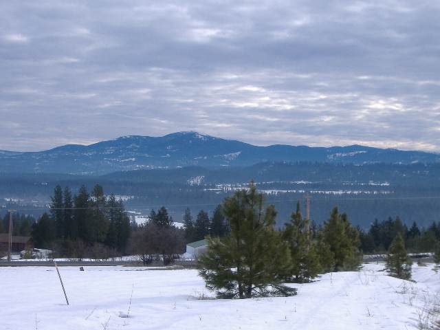 242-xx North Perry Road Colbert, WA 99005 - Photo 1 of 4