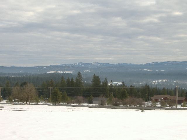 242-xx North Perry Road Colbert, WA 99005 - Photo 2 of 4