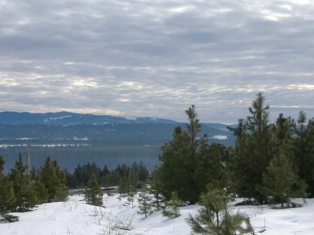 242-xx North Perry Road Colbert, WA 99005 - Photo 3 of 4
