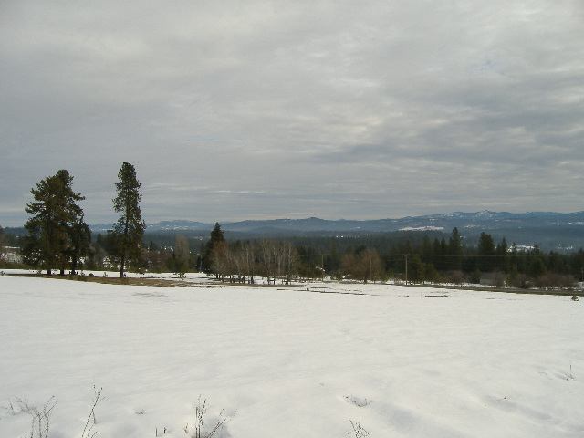 242-xx North Perry Road Colbert, WA 99005 - Photo 4 of 4