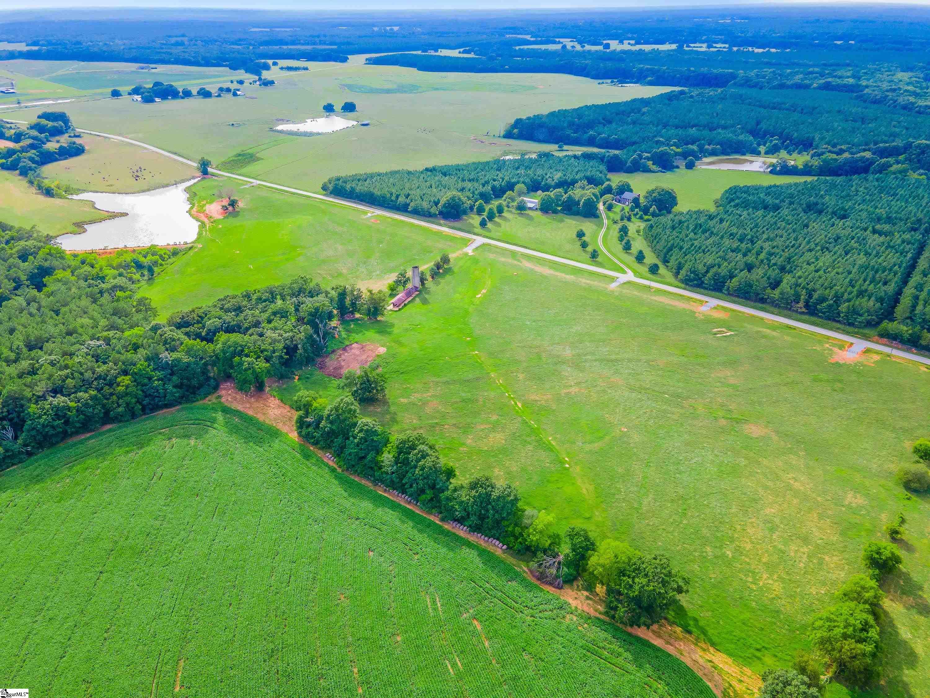 0 Bush River Road, Unit LOT 4 Kinards, SC 29355 - Photo 8 of 12 Gallery Image 8