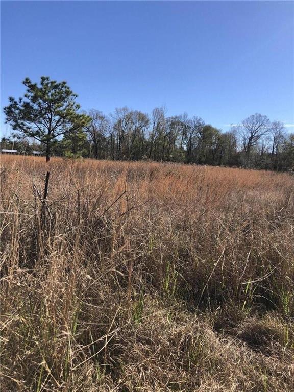 0 Buford Day Road Deridder, LA 70634 - Photo 3 of 3