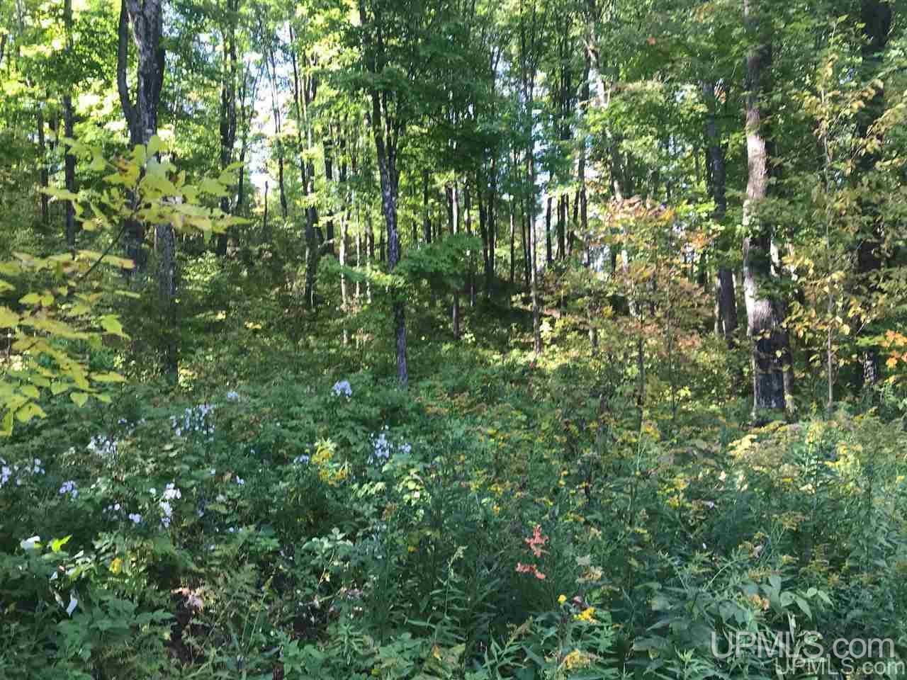 Tbd Ford River Road Arnold, MI 49831 - Photo 10 of 22