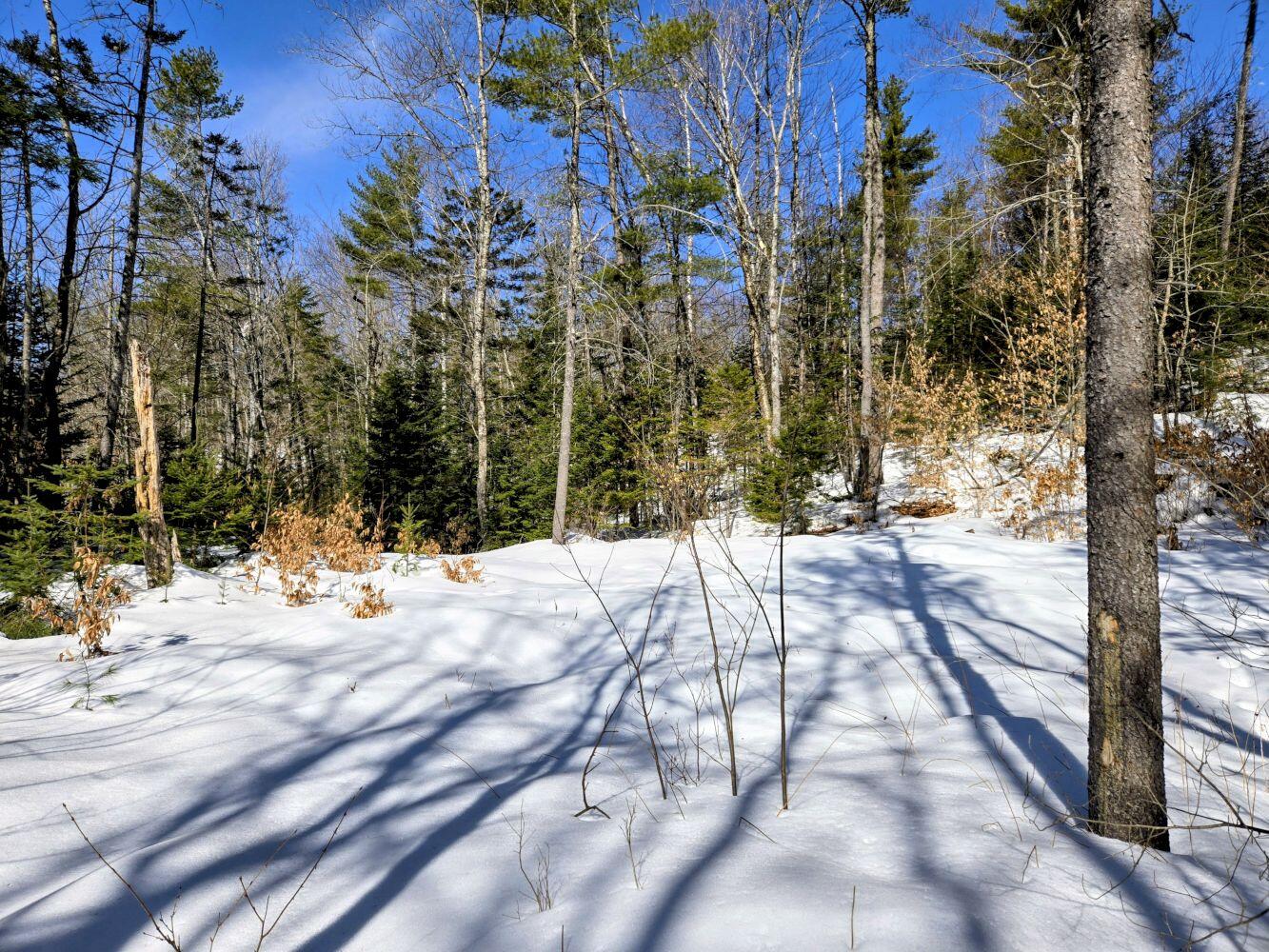 Lot 10 Staples Pond Road Temple, ME 04984 - Photo 40 of 56