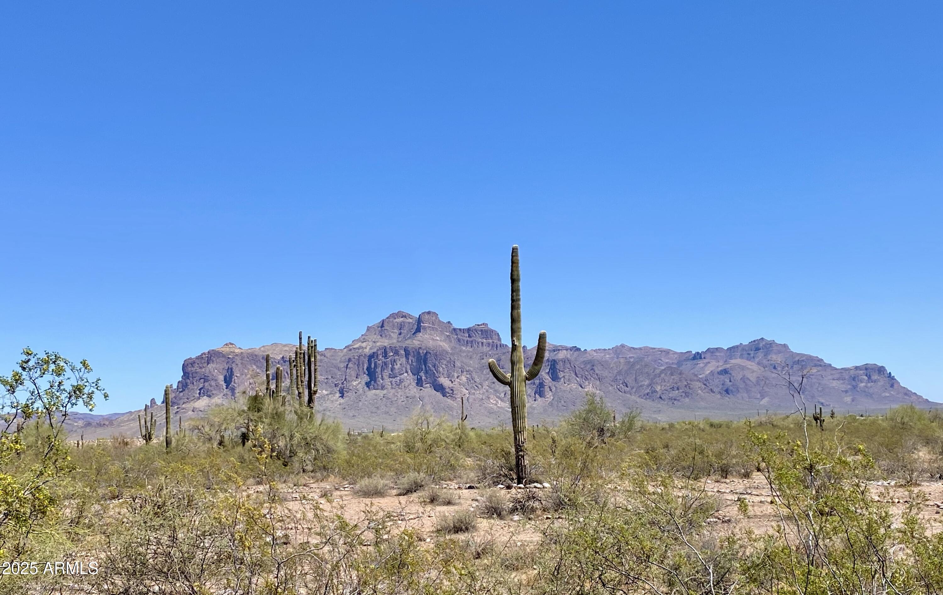 11101 East University Drive, Unit 125 Apache Junction, AZ 85120 - Photo 22 of 32 a view of a sky from a yard