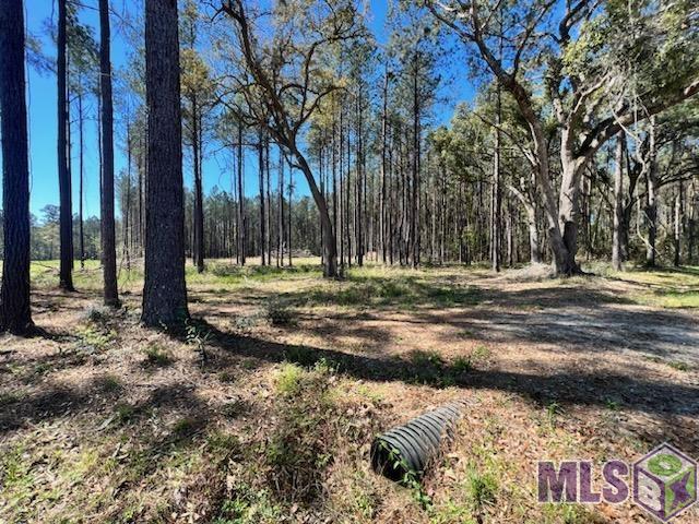 Lot 38 Nesom Road Denham Springs, LA 70706 - Photo 1 of 13 Gallery Image 1