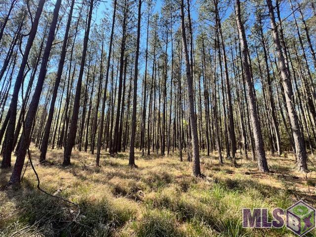 Lot 38 Nesom Road Denham Springs, LA 70706 - Photo 4 of 13 Gallery Image 4