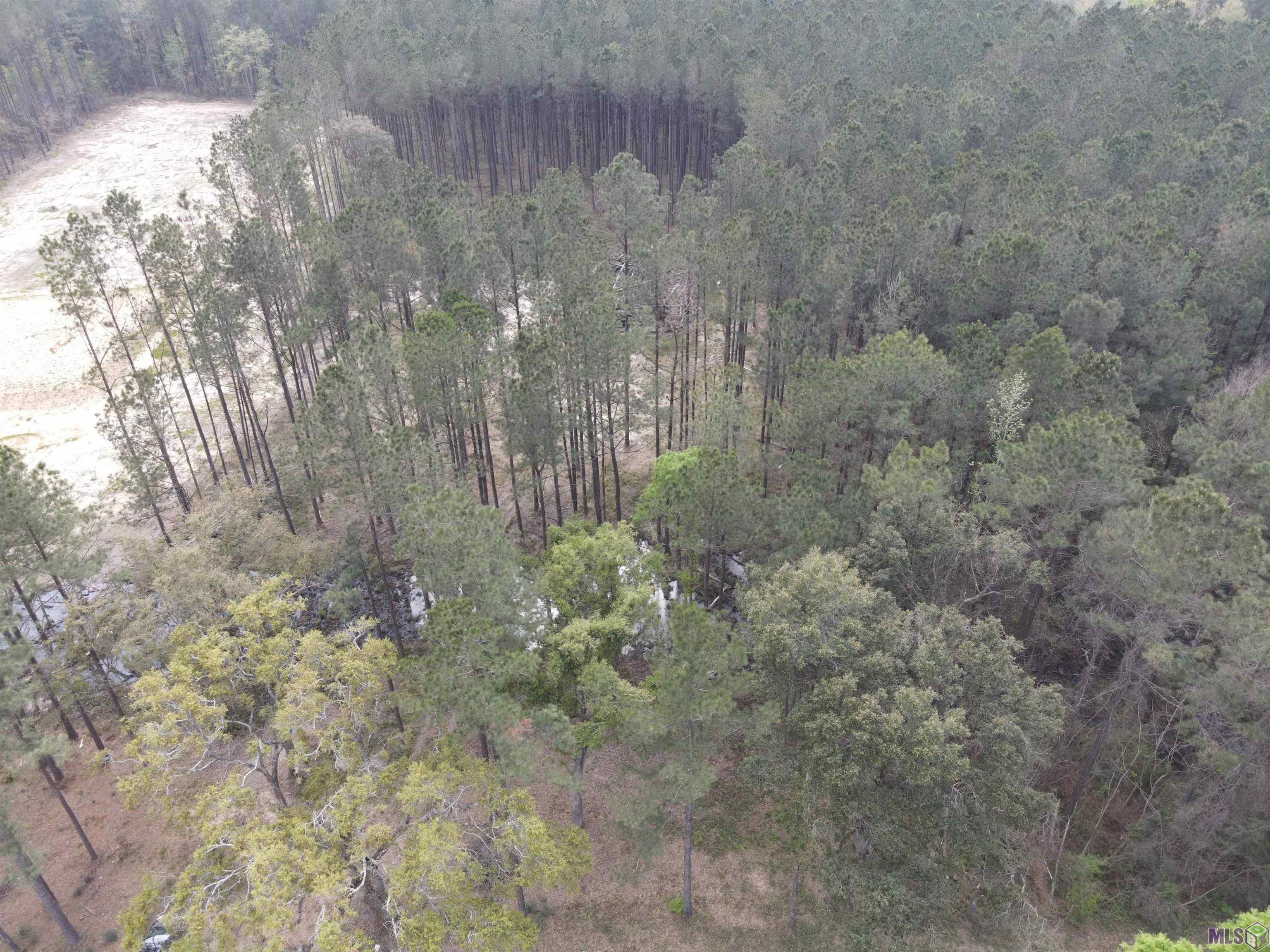 Lot 38 Nesom Road Denham Springs, LA 70706 - Photo 8 of 13 Gallery Image 8