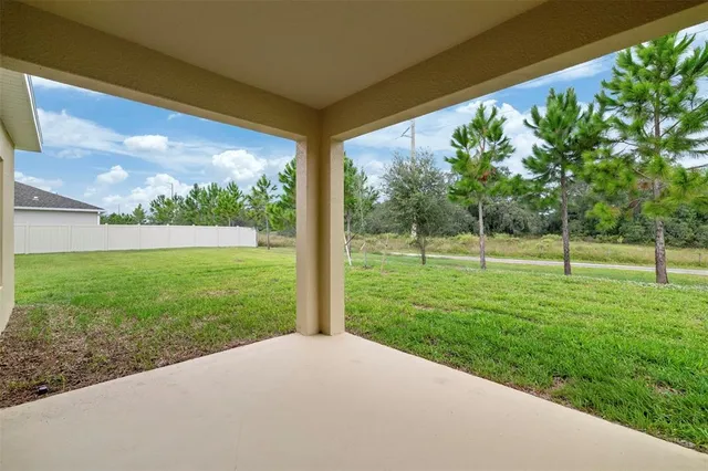 a view of a trees with a big yard