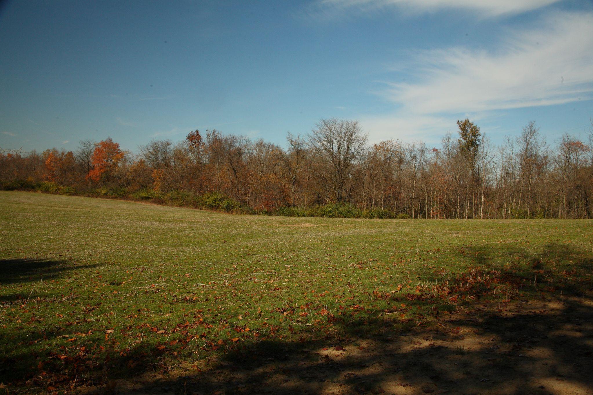 813 Home Road Delaware, OH 43015 - Photo 38 of 42
