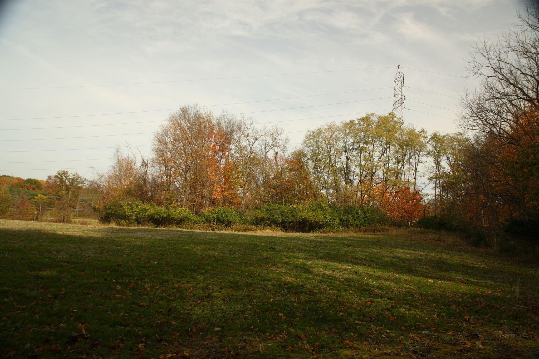 813 Home Road Delaware, OH 43015 - Photo 10 of 42
