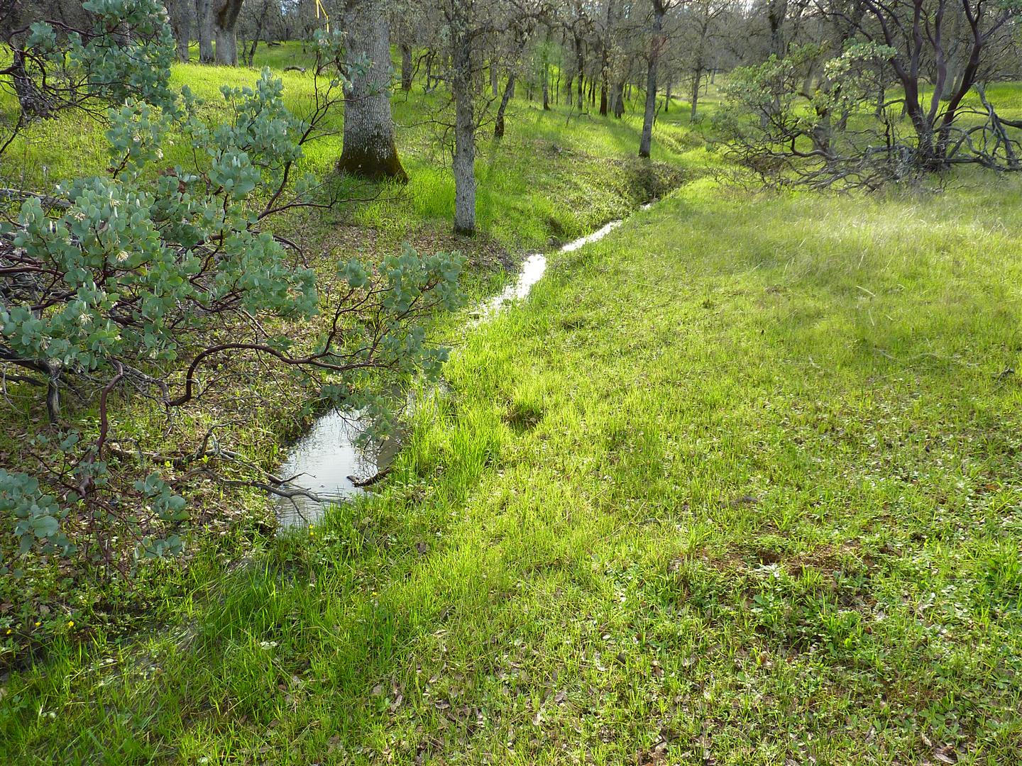 Two 2 Feathers Road Igo, CA 96047 - Photo 16 of 27 seasonal flow