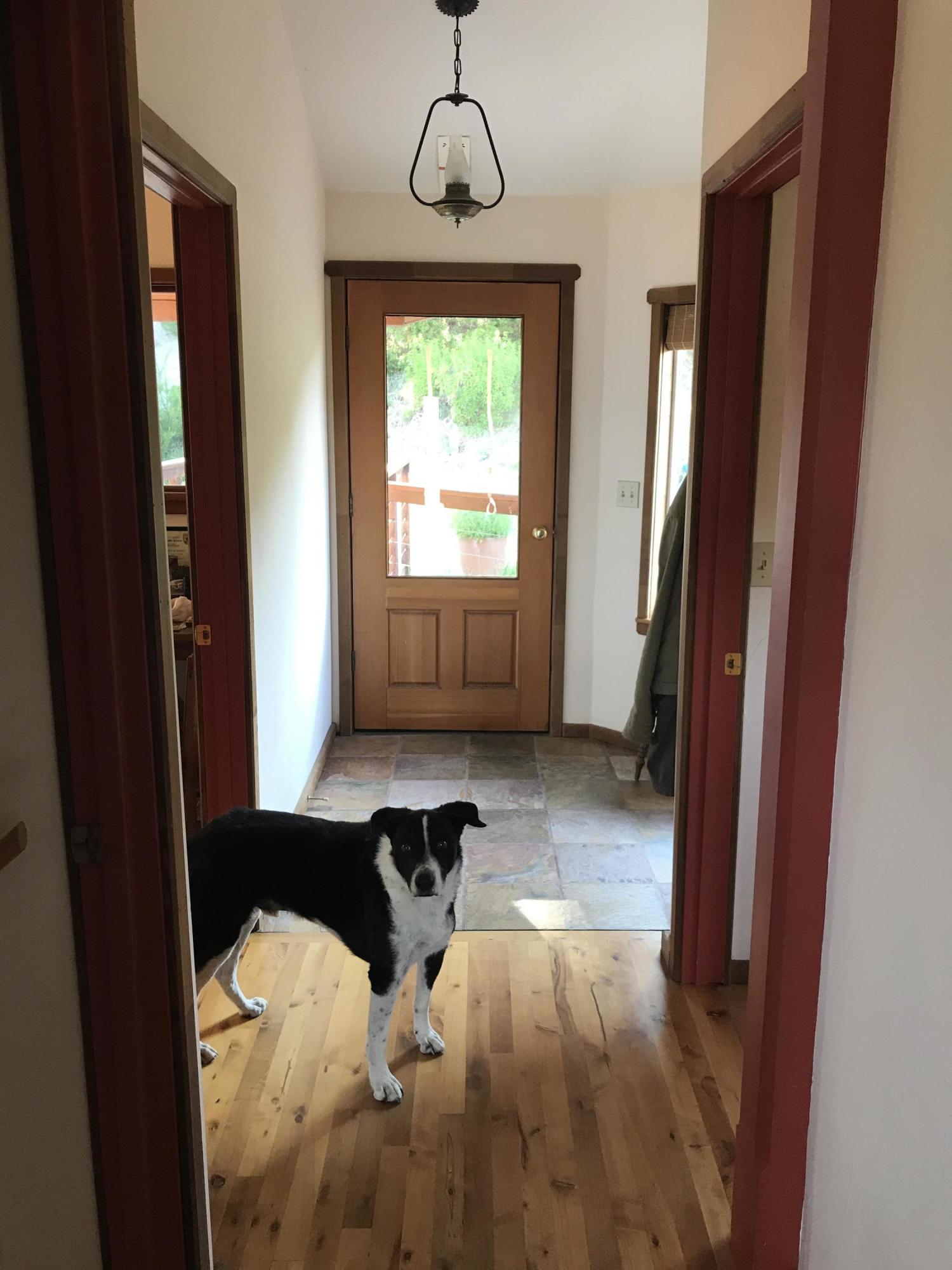 558 Homestead Road Garberville, CA 95542 - Photo 8 of 64 9