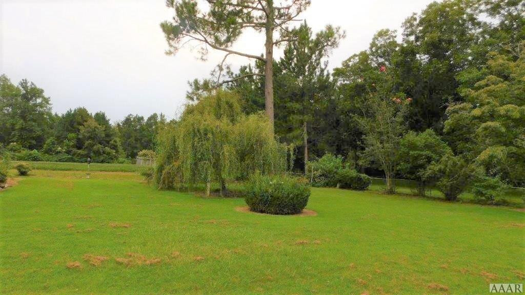 429 Mexico Road Edenton, NC 27932 - Photo 23 of 26 back yard that is completely fenced