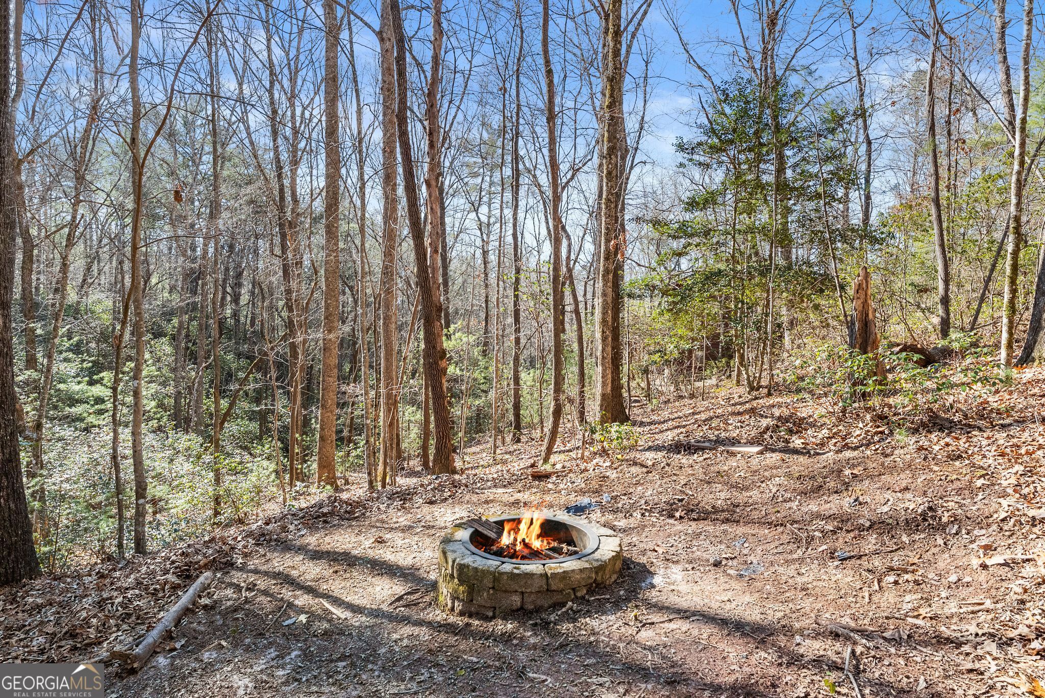 17 Deer Track Road Sautee Nacoochee, GA 30571 - Photo 42 of 50