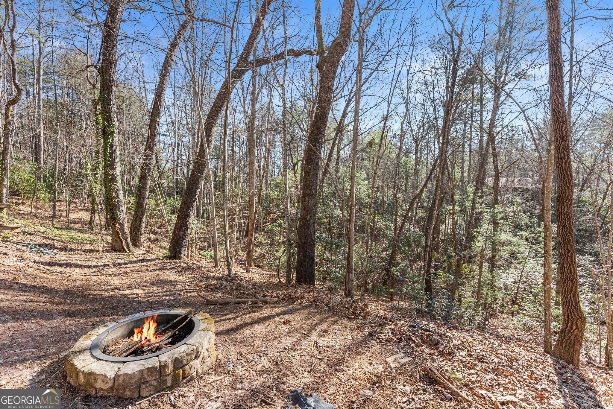 17 Deer Track Road Sautee Nacoochee, GA 30571 - Photo 44 of 50