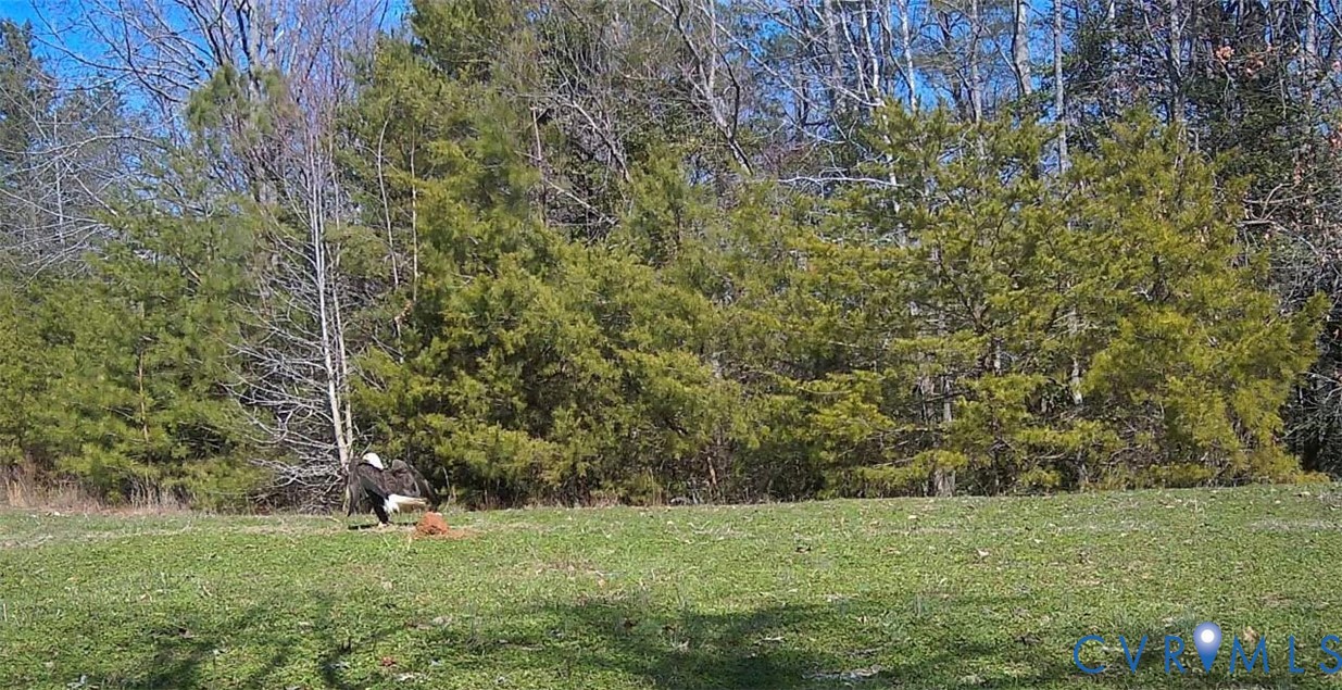 00 Nesting Road Jamaica, VA 23079 - Photo 3 of 5