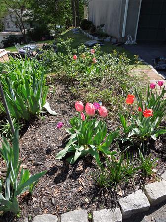 18 Ivy Road Medford, MA 02155 - Photo 20 of 22 Gallery Image 20